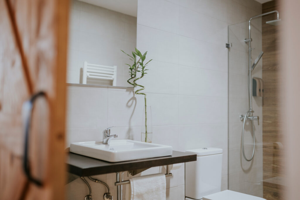 Apartamentos Portales de Pizarro