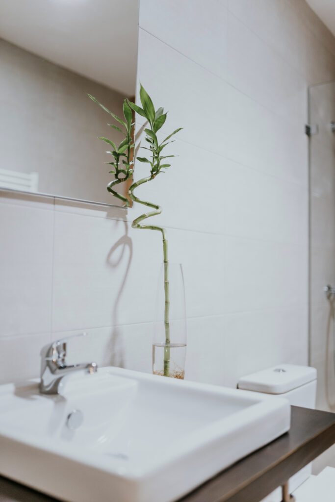 Apartamentos Portales de Pizarro